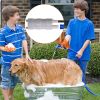12V Submersible Water Pump with 16.4ft Max Lift 1000L Per H Flow Rate for Garden Sprinklers Lawn Shower Tour Vehicles